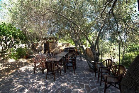 Villa Arancio Giorgio Cala Liberotto Extérieur photo